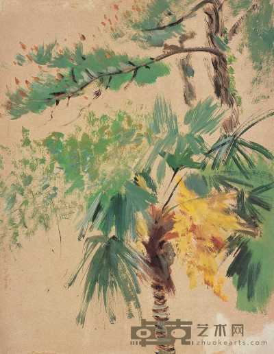 秦宣夫 棕榈树 54×42.8cm